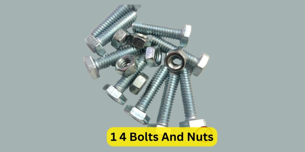 1 4 Bolts And Nuts