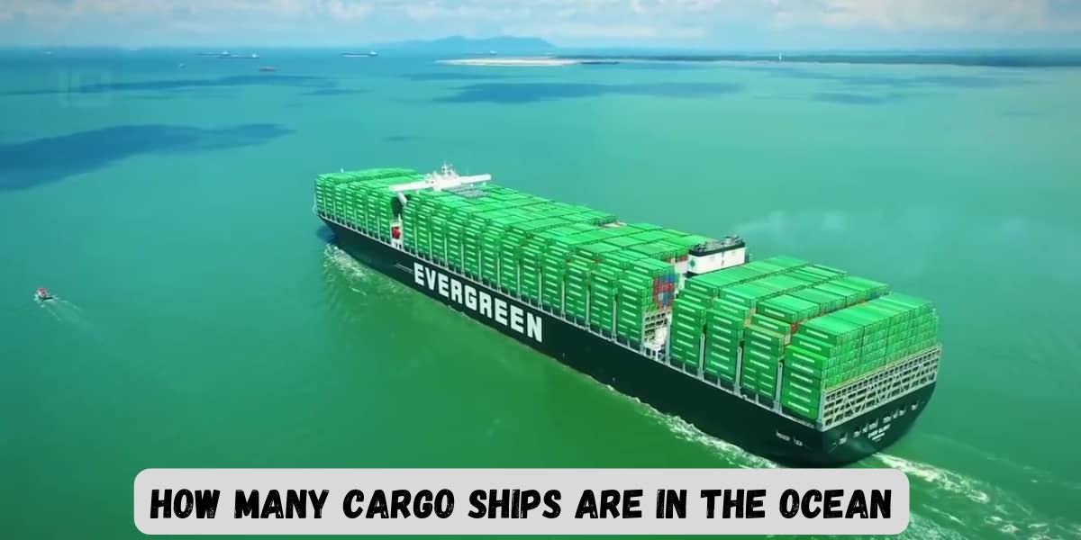 Cargo Ships Are In The Ocean