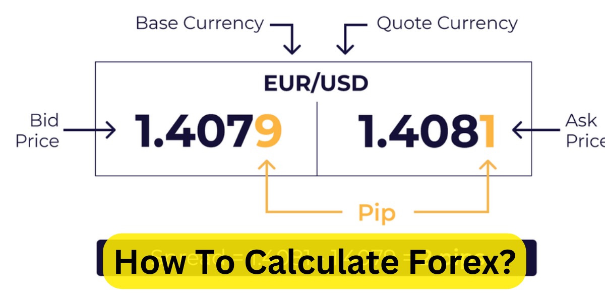 How To Calculate Forex?